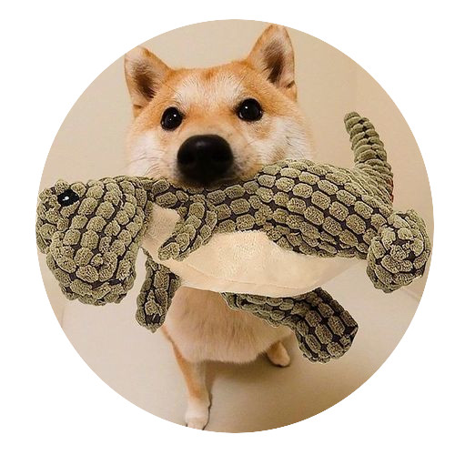 Brinquedos de pelúcia para cães de estimação